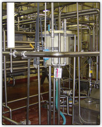 Process piping in sanitary food plant